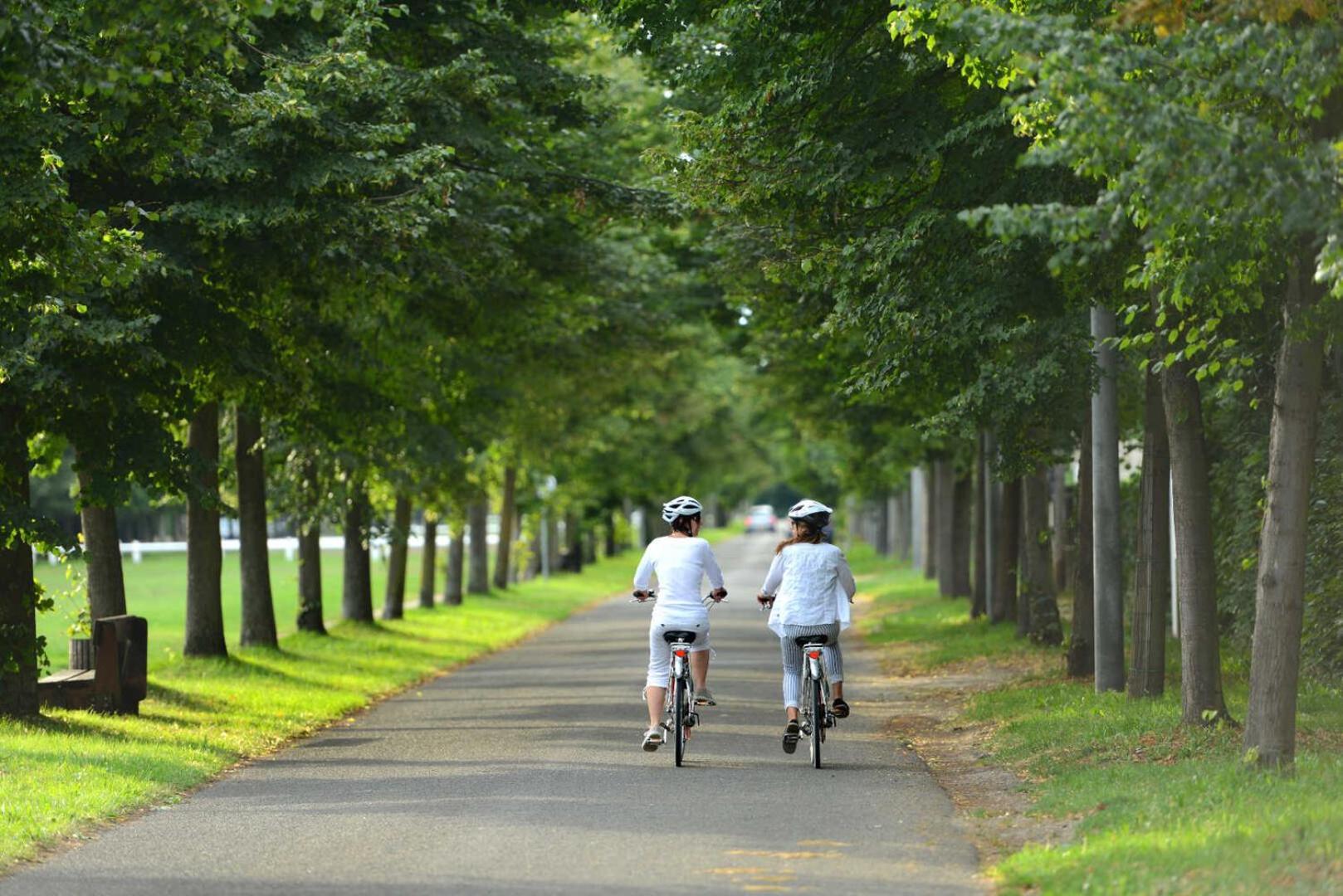 Havre De Tranquillite A Maisons-Laffitte Apartment ภายนอก รูปภาพ